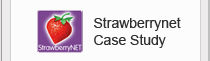 Strawberrynet Case Study